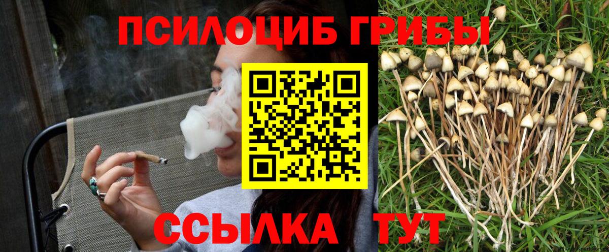 Псилоцибиновые грибы MAGIC MUSHROOMS Красноармейск